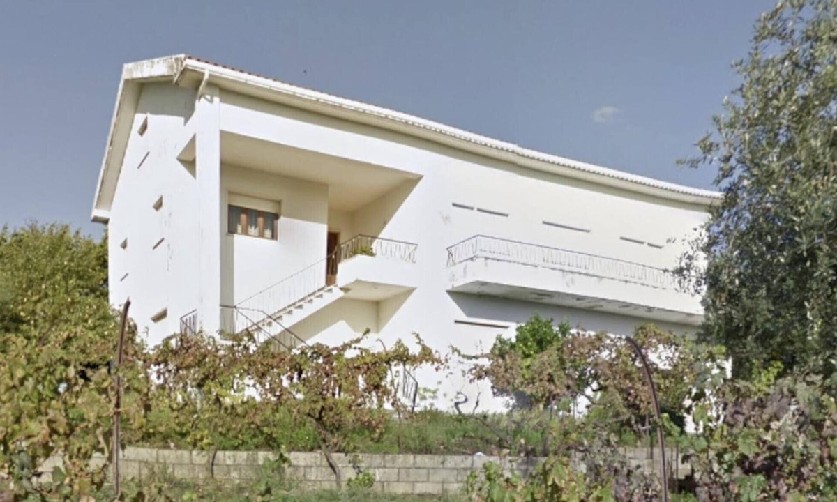 Proenca-a-Nova Apartment | Aroma das Tílias: Enjoy Nature, River Beaches, Peace and Great Food