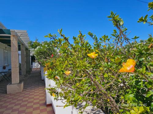Olhao House | Blife Salinya private rooms at N125
