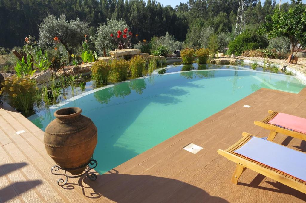 Aguda Apartment | Casa Azul self-catering apartment with gorgeous biological swimming pool