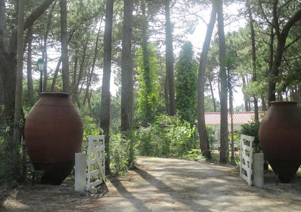 Fornos House | Casa do Páteo