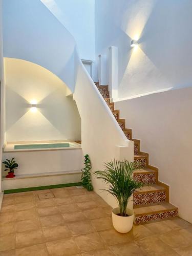 Sao Pedro House | Casa Longa Faro Entire House - Plunge Pool and Terrace