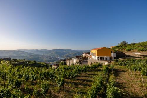 Peso da Regua Hotel | Casas da Quinta de Santa Cruz - Douro Land