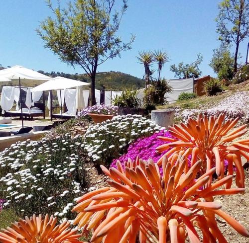 Aldeia dos Palheiros House | Casas de Campo do Castro da Cola