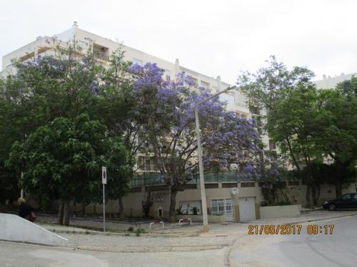 Armacao de Pera Apartment | Edificio Nau