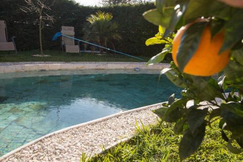 Povoa De Varzim House | Guest H4U Villa Garden & Pool