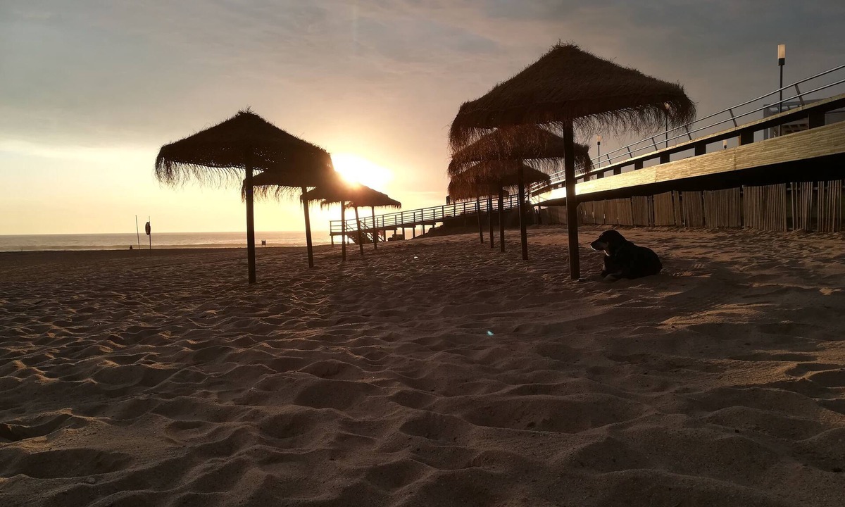 Mafra House | LO Surfcamp Ericeira Surf & Skate beach foz do lizandro