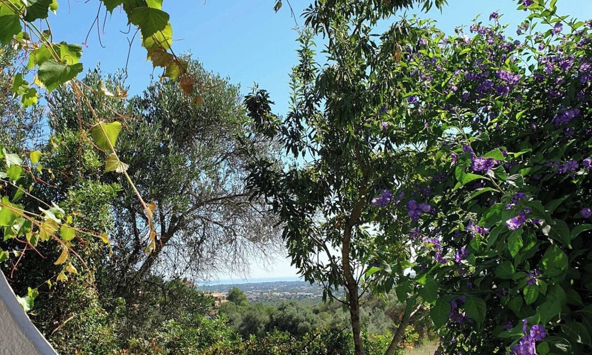 Cerro do Mocho House | Lovely pet friendly farmhouse with seaview & big pool