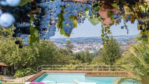 Santo Tirso House | Quinta das Leiras