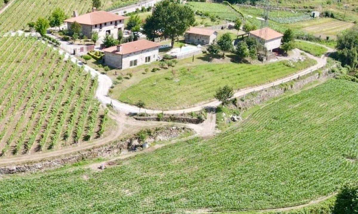 Sao Jorge de Selho House | Quinta de Carvalhal - Vineyard House