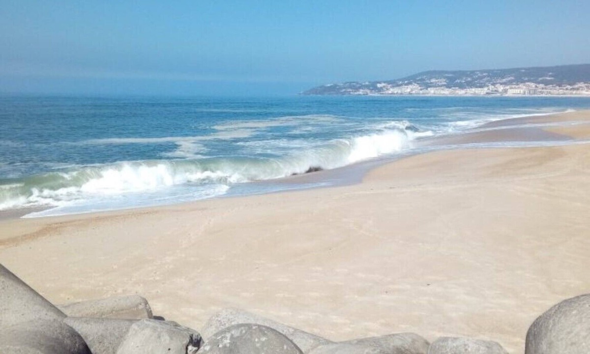 Sao Juliao da Figueira da Foz Apartment | Sun with Style - Comfortable, modern and well located