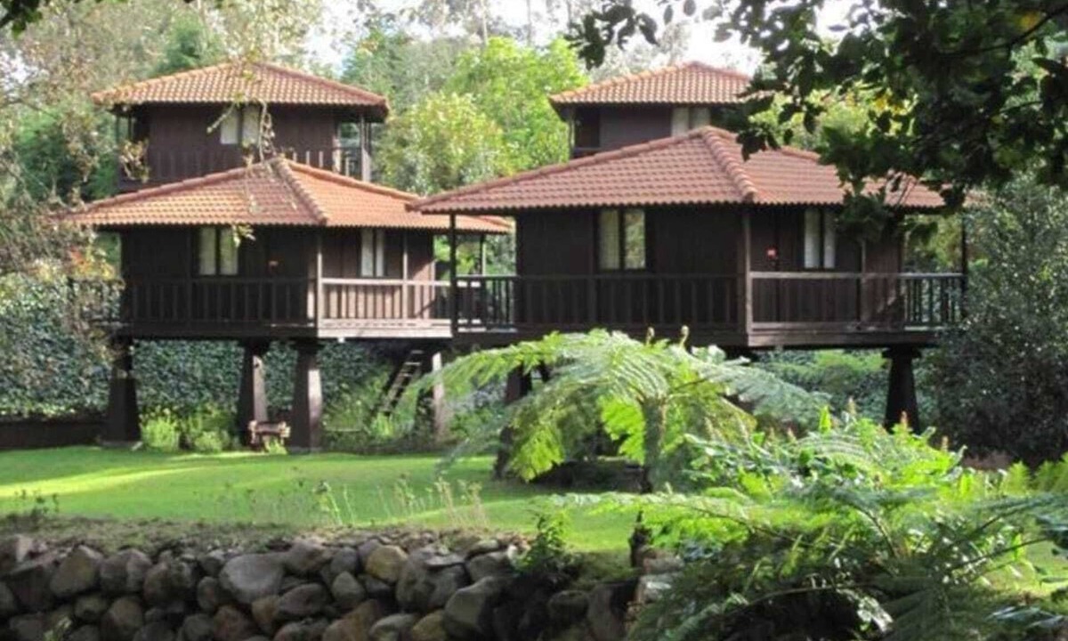 Santa Cruz Cabin | Wooden refuge in the heart of nature