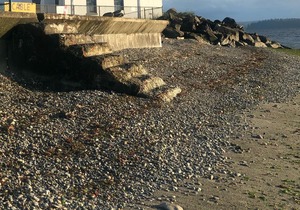 BEAUTIFUL ALKI BEACH COTTAGE 1/2 BLOCK TO BEACH 2 BR + 2 BATH in Seattle