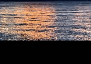 BEAUTIFUL ALKI BEACH COTTAGE 1/2 BLOCK TO BEACH 2 BR + 2 BATH in Seattle