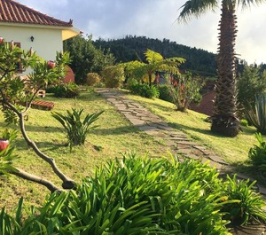 Sea Garden At Ponta Pargo 