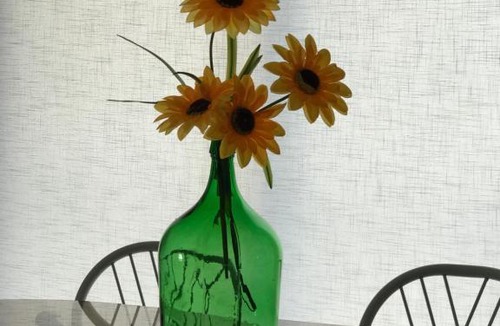 Viana do Castelo Apartment | Apartamento Praia da Amorosa