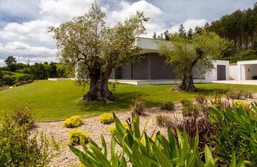 Carvalhal Villa | Barbónica
