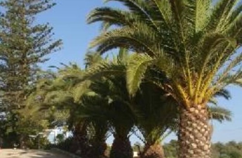 Quelfes House | Beautiful villa with swimming pool in an idyllic and quiet environment
