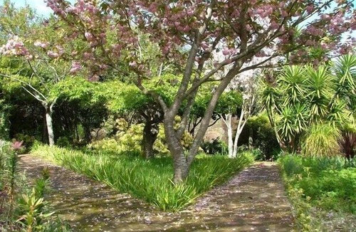 Perre Villa | Bento Novo | Historic Manor House Near the Coast, Stunning Gardens