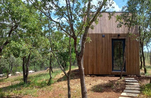 Santa Maria dos Olivais Cabin | Bungalow Medronheiro | Refugio do Carrascal | Tomar, center of Portugal