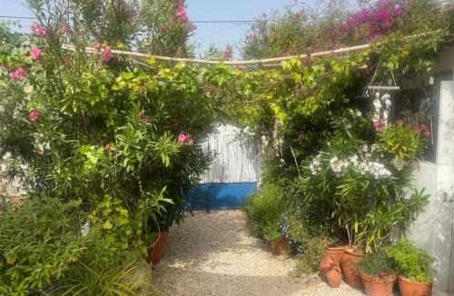 Aldeia House | Casa da Aldeia