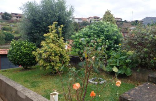 Molares House | Casa da Oliveira