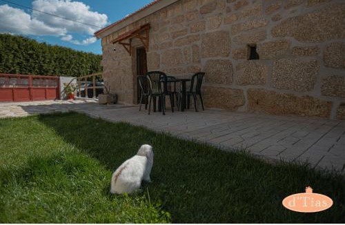 Paredes Villa | Casa das Tias