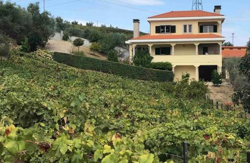 Lamego House | Casa dos Copins