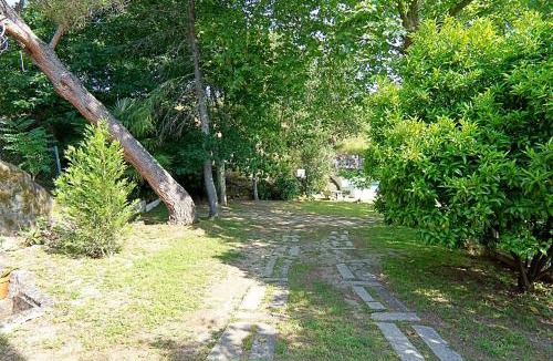 Amarante Ski Chalet | Casa dos Plátanos near the center of Amarante, Golf Course and Water Park.