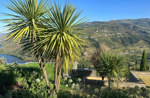 Mesao Frio Cottage | Casa Privada com Vista Única Sobre o Douro