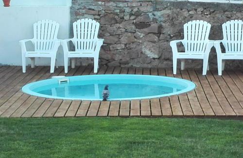 Alcobaca House | Casa Vitorino's