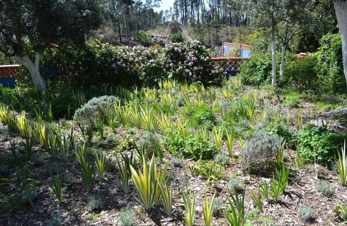 Pedrogao Grande Cottage | Charming Garden Retreat in Pedrogao Grande