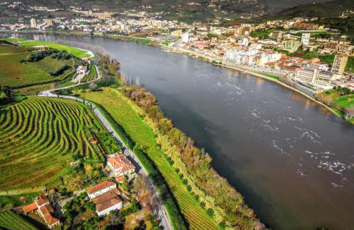 Lamego Villa | Charming Villa with Private Pool in Lamego