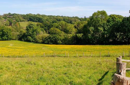 Piltdown House | Cherry Pip