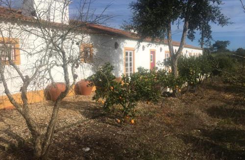 Santiago do Cacem House | Costa Vicentina Monte Cailogo