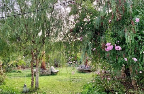 Moncarapacho e Fuseta Cottage | Dreamy Garden Cottage with Natural Pond in Algarve