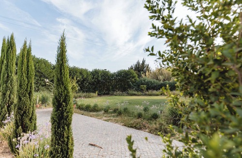 Moncarapacho e Fuseta Cottage | Dreamy Garden Cottage with Natural Pond in Algarve