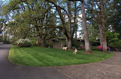 Amazon House | Extraordinary Eugene Home Sleeps 10+