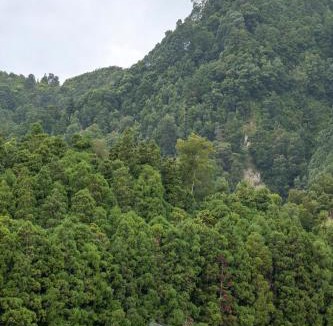 Furnas House | Furnas Yoga Place