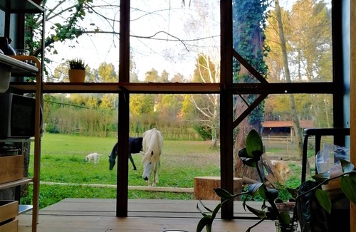 Valongo House | Green Box - be in Nature w/Train to Porto