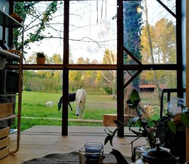 Valongo Ski Chalet | Green Box - be in nature with direct train to Porto