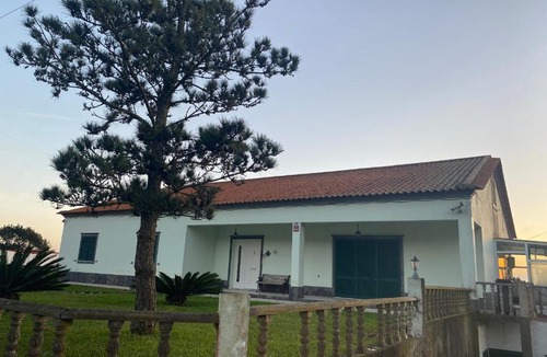 Ponta Delgada House | Green Tropical House