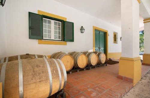 Santarem Villa | Quinta Centieira-Scalab Wine Estate