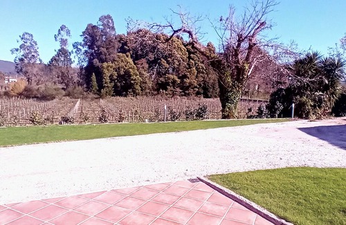 Esposende House | Quinta da Calça - Nature, Vineyards and River in Esposende | Peaceful Stay