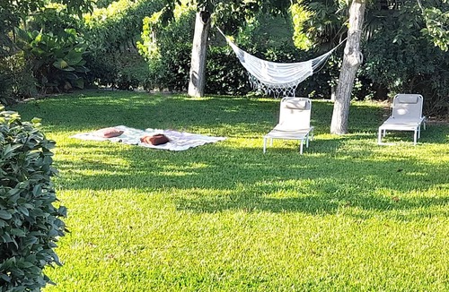 Esposende House | Quinta da Calça - Nature, Vineyards and River in Esposende | Peaceful Stay