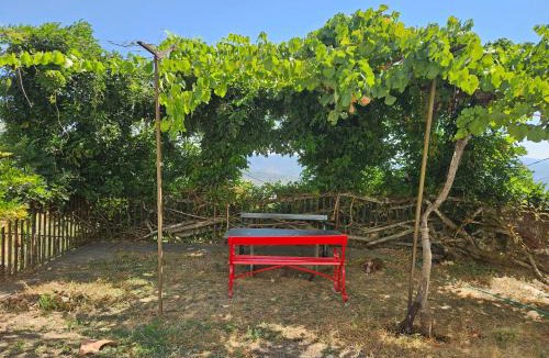 Peso da Regua Apartment | Quinta de Sobre a Fonte Charming Apartments - traditional winery