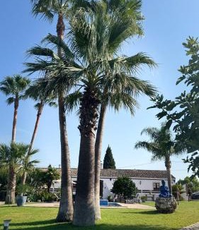 Sao Clemente House | Quinta do Carmo