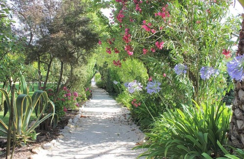 Tomar Cottage | Refuge in the middle of nature - Country house