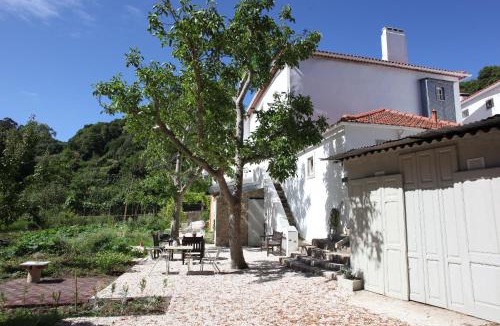 Monserrate Apartment | ribeira dos marinheiros amarelo
