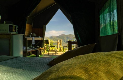 Ventosa RV Rental | Safari Glamping Portugal Lion
