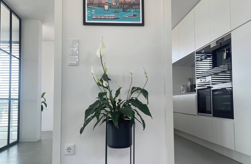 Canidelo Villa | Splendid contemporary villa with beautiful garden and private pool.